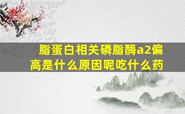 脂蛋白相关磷脂酶a2偏高是什么原因呢吃什么药