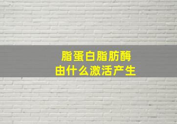 脂蛋白脂肪酶由什么激活产生