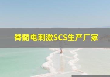 脊髓电刺激SCS生产厂家