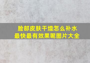 脸部皮肤干燥怎么补水最快最有效果呢图片大全