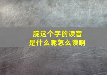 腚这个字的读音是什么呢怎么读啊