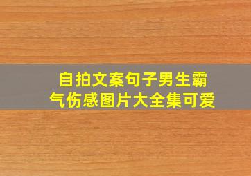 自拍文案句子男生霸气伤感图片大全集可爱