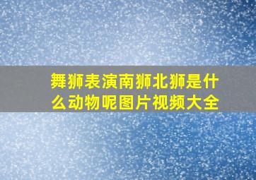 舞狮表演南狮北狮是什么动物呢图片视频大全