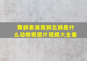 舞狮表演南狮北狮是什么动物呢图片视频大全集