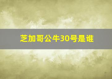 芝加哥公牛30号是谁