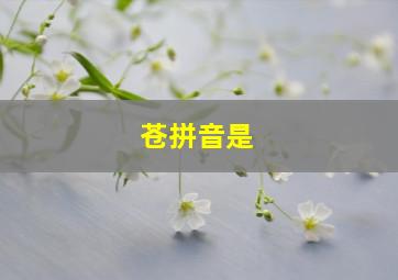 苍拼音是