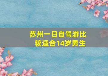 苏州一日自驾游比较适合14岁男生