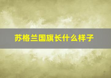 苏格兰国旗长什么样子