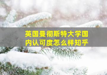 英国曼彻斯特大学国内认可度怎么样知乎