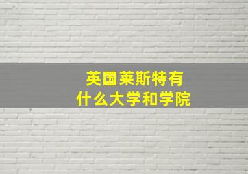 英国莱斯特有什么大学和学院