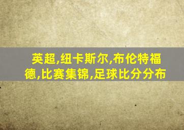 英超,纽卡斯尔,布伦特福德,比赛集锦,足球比分分布