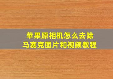 苹果原相机怎么去除马赛克图片和视频教程