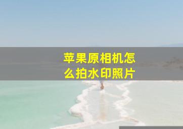 苹果原相机怎么拍水印照片