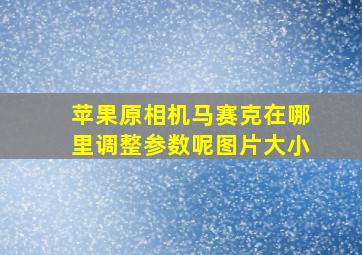 苹果原相机马赛克在哪里调整参数呢图片大小