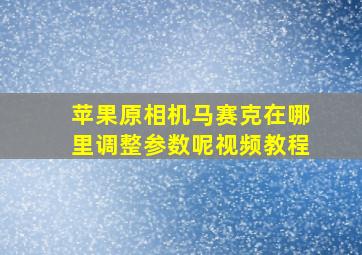 苹果原相机马赛克在哪里调整参数呢视频教程