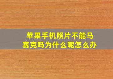 苹果手机照片不能马赛克吗为什么呢怎么办