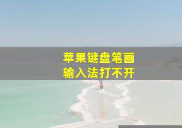 苹果键盘笔画输入法打不开