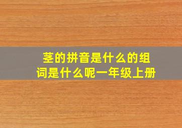 茎的拼音是什么的组词是什么呢一年级上册