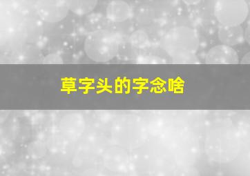 草字头的字念啥