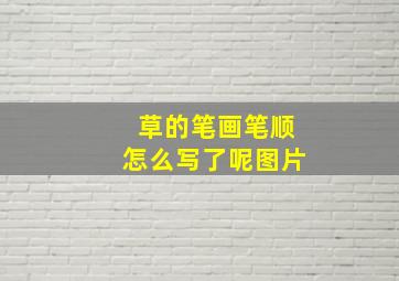 草的笔画笔顺怎么写了呢图片