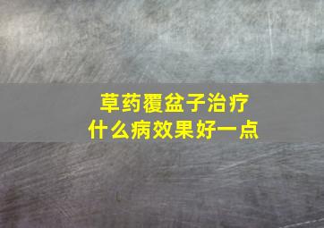 草药覆盆子治疗什么病效果好一点