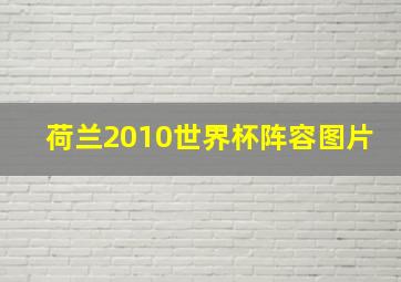 荷兰2010世界杯阵容图片