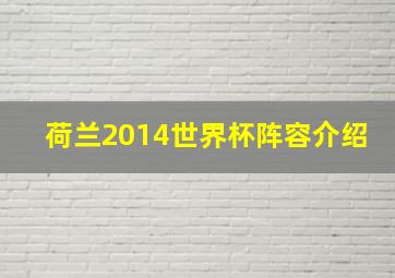 荷兰2014世界杯阵容介绍