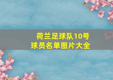 荷兰足球队10号球员名单图片大全