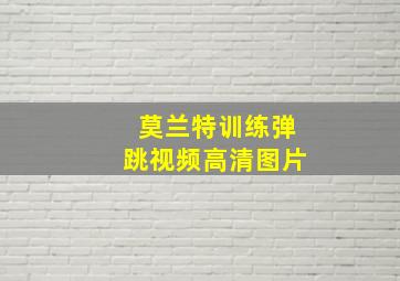 莫兰特训练弹跳视频高清图片