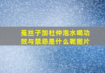 菟丝子加杜仲泡水喝功效与禁忌是什么呢图片