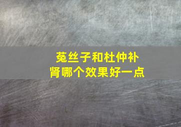 菟丝子和杜仲补肾哪个效果好一点