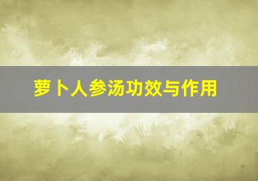 萝卜人参汤功效与作用