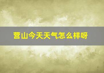 营山今天天气怎么样呀