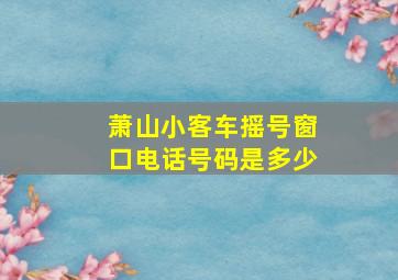 萧山小客车摇号窗口电话号码是多少