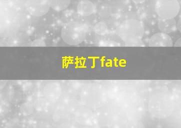 萨拉丁fate