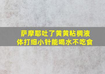 萨摩耶吐了黄黄粘稠液体打细小针能喝水不吃食