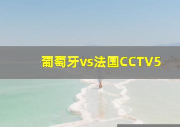 葡萄牙vs法国CCTV5