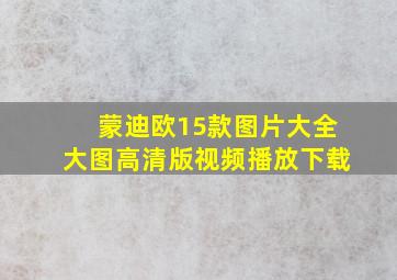 蒙迪欧15款图片大全大图高清版视频播放下载