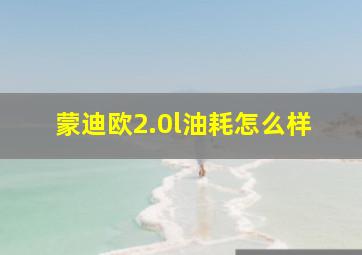 蒙迪欧2.0l油耗怎么样