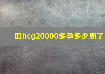 血hcg20000多孕多少周了