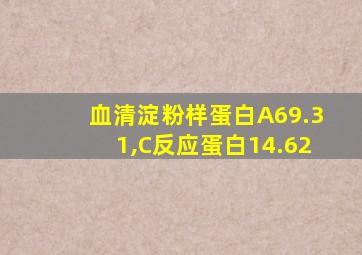 血清淀粉样蛋白A69.31,C反应蛋白14.62