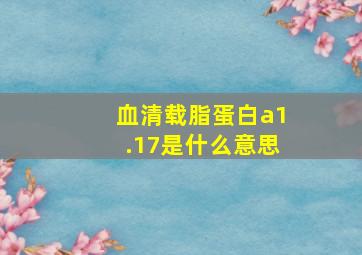 血清载脂蛋白a1.17是什么意思