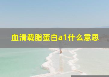 血清载脂蛋白a1什么意思