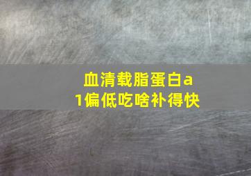 血清载脂蛋白a1偏低吃啥补得快