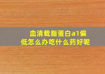 血清载脂蛋白a1偏低怎么办吃什么药好呢