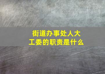 街道办事处人大工委的职责是什么