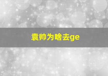 袁帅为啥去ge