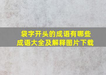 袋字开头的成语有哪些成语大全及解释图片下载