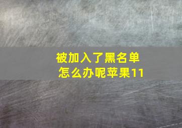 被加入了黑名单怎么办呢苹果11