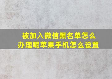 被加入微信黑名单怎么办理呢苹果手机怎么设置